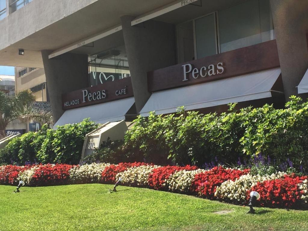 Depto Daria Punta Del Este Exterior foto